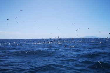 IMG_20200209_134620
